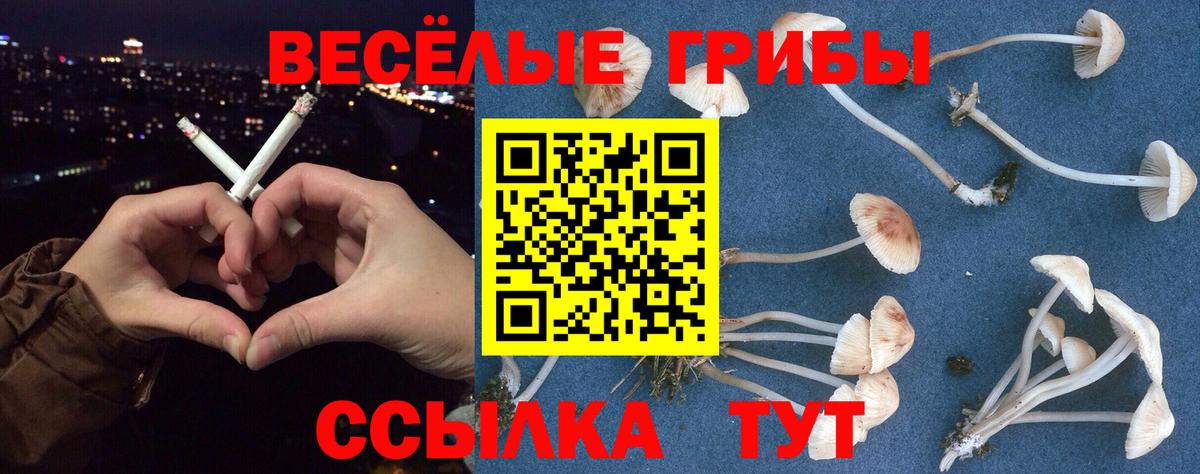 где купить наркоту  Галлюциногенные грибы GOLDEN TEACHER  Вход с VPN  Владивосток 